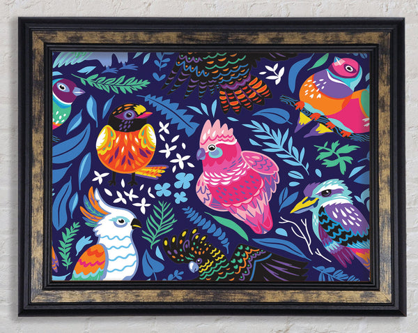 Cartoon Paradise Birds Framed Print