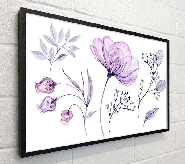 Small Lilac Crocus Illustration