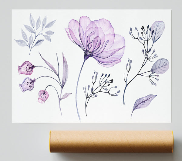 Small Lilac Crocus Illustration Print