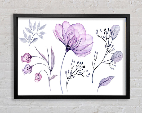 Kleine lila Krokus-Illustration