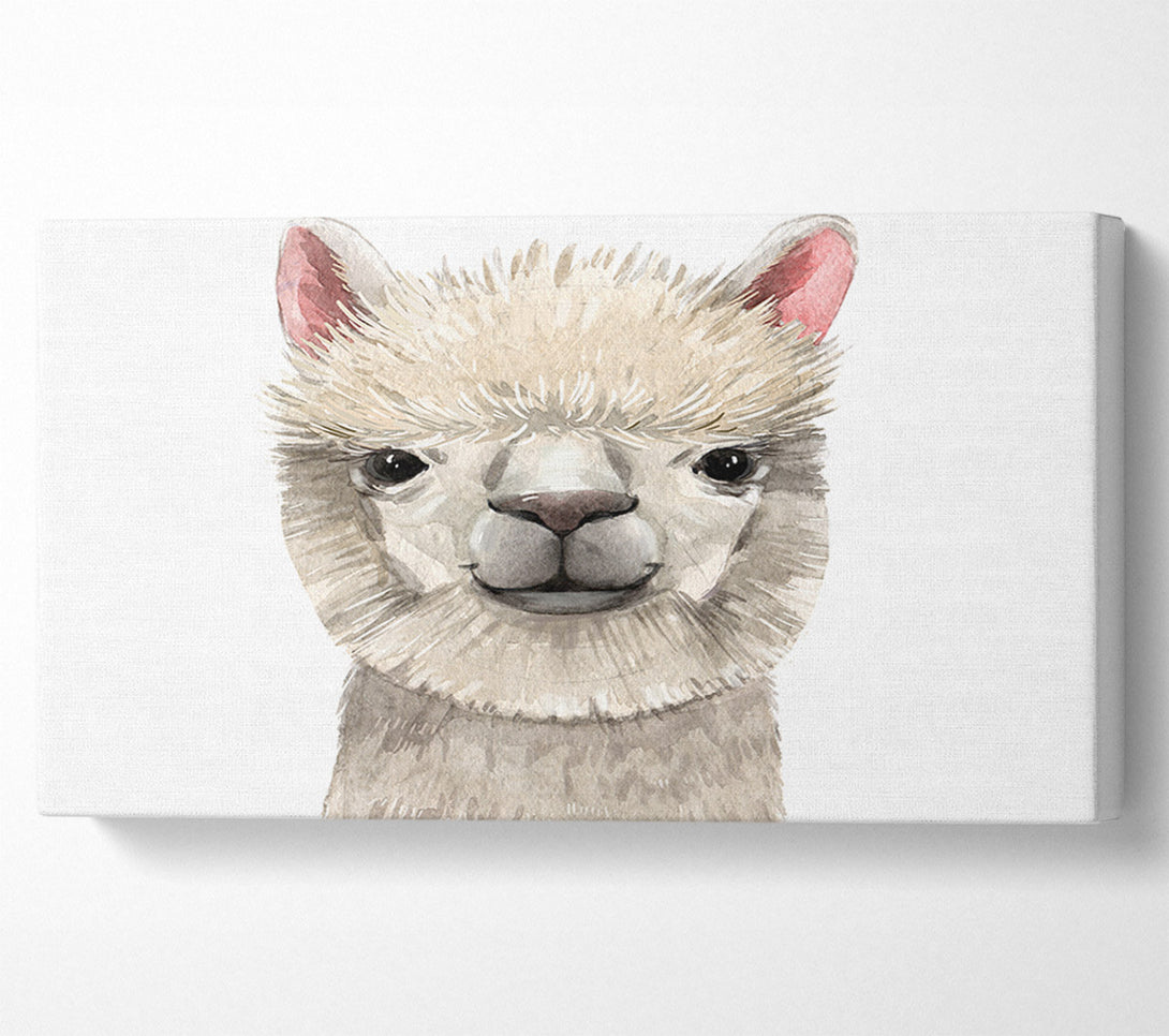  A Canvas Print of Llama Drama Canvas Print