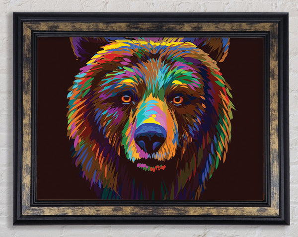 Vibrant Bear Face Framed Print