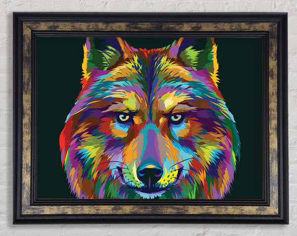 Stunning Wolf Head Framed Print