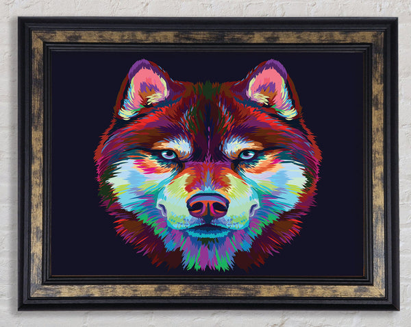 Vibrant Wolf Blues Framed Print