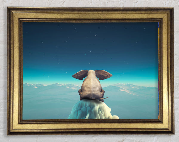 Elephant On A Cliff Framed Print