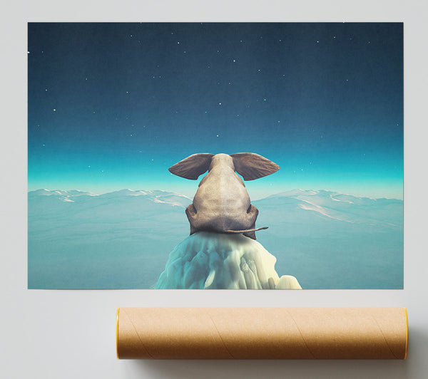 Elephant On A Cliff Poster