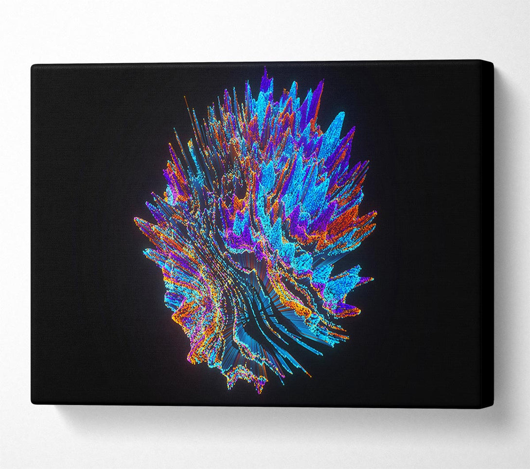  A Canvas Print of The Sphere Of Life Canvas Art
