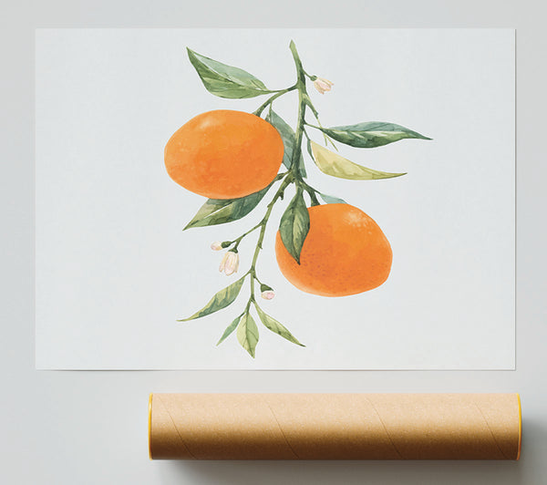 Oranges Fresh On The Branch Print