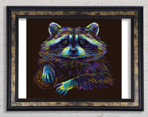 The Cheeky Racoon Framed Print