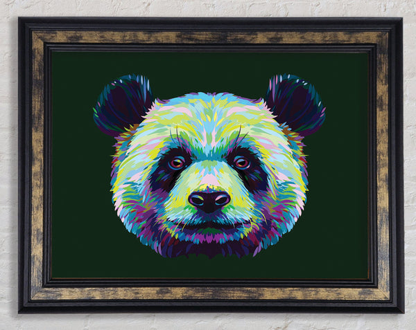 The Panda Head Framed Print