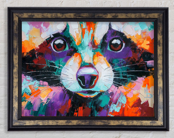 Racoon Vivid Face Framed Print