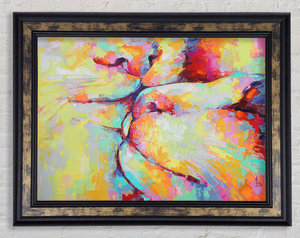 Kitten Kiss Framed Print