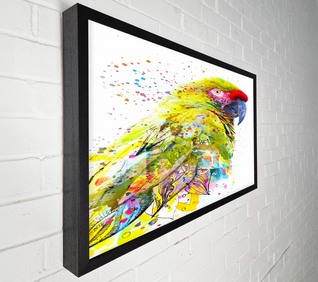  A Canvas Print of The Green Parrot Splatter Canvas Print