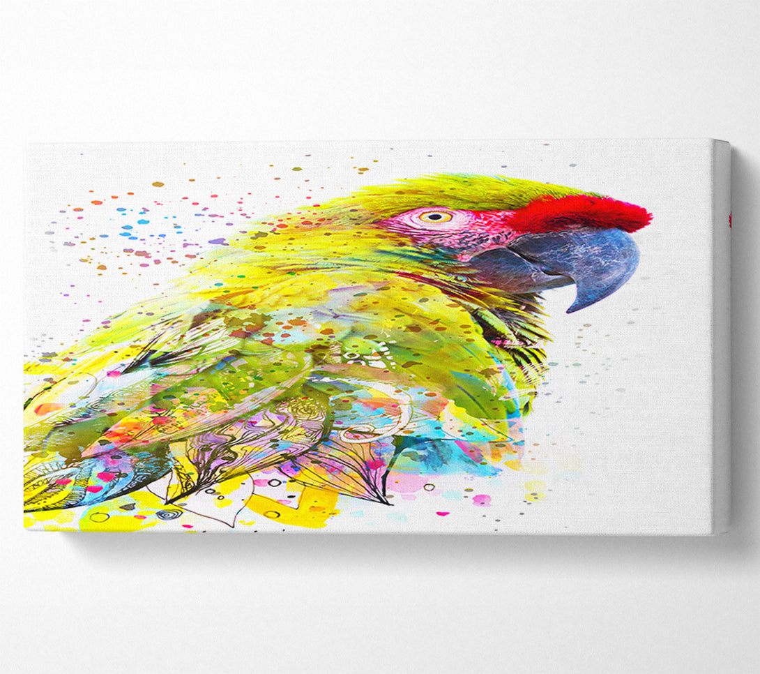  A Canvas Print of The Green Parrot Splatter Canvas Print