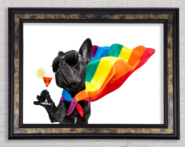 French Bulldog Pride Framed Print