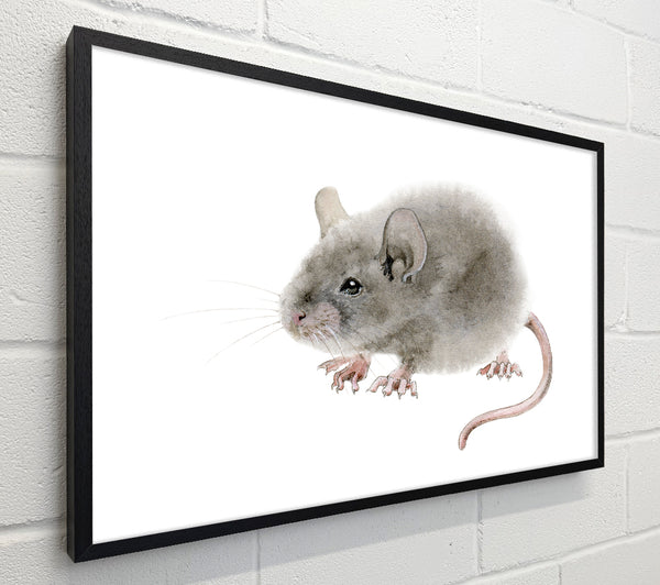 Cute Little Mouse