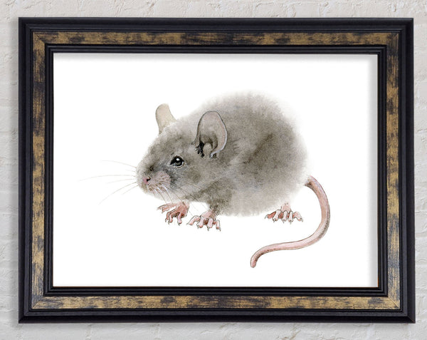 Cute Little Mouse Framed Print