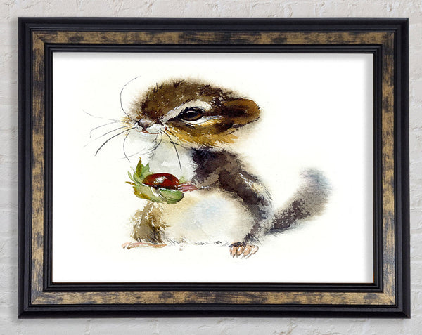 Cute Little Chipmunk Framed Print