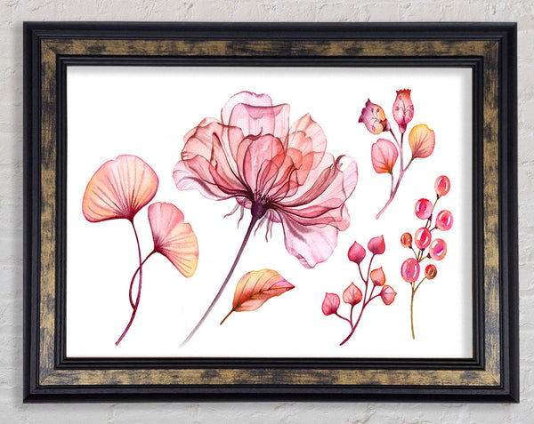 Pink Flower Madness Framed Print