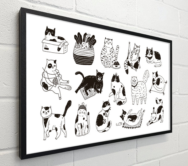 Collection Of Funny Cats