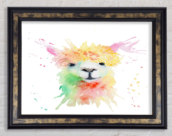 Splatter Colour Alpaca Framed Print