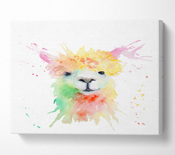 Splatter Colour Alpaca