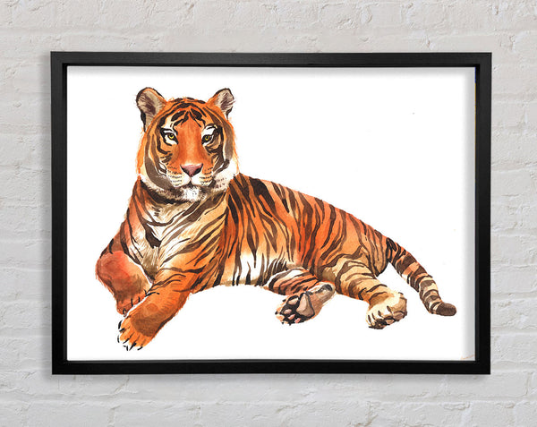 Tiger legt sich hin