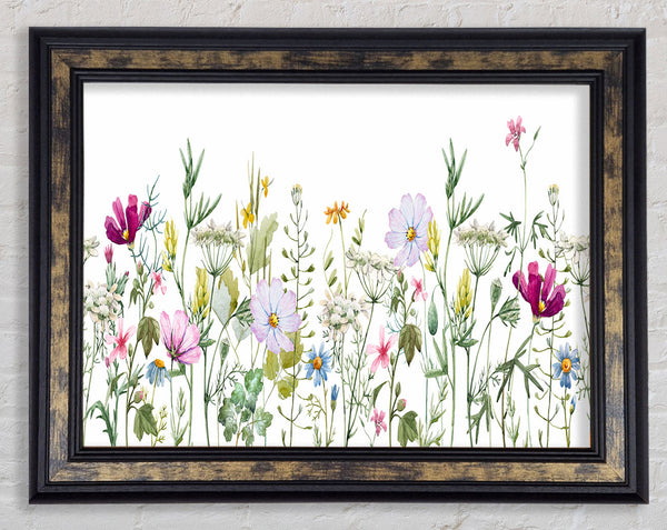 Summer Time Flowers 2 Framed Print