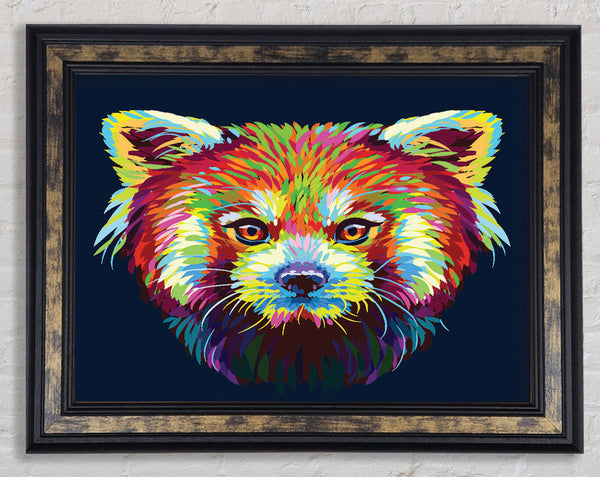 Red Panda Stare Framed Print