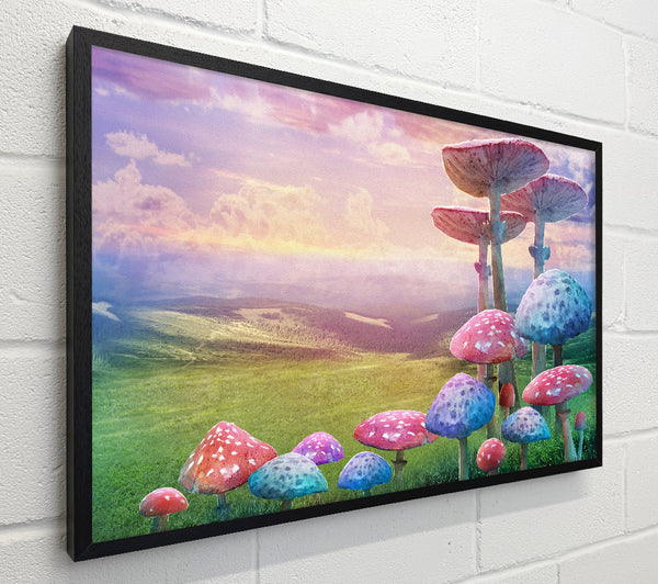 Tall Mushrooms In The Valley