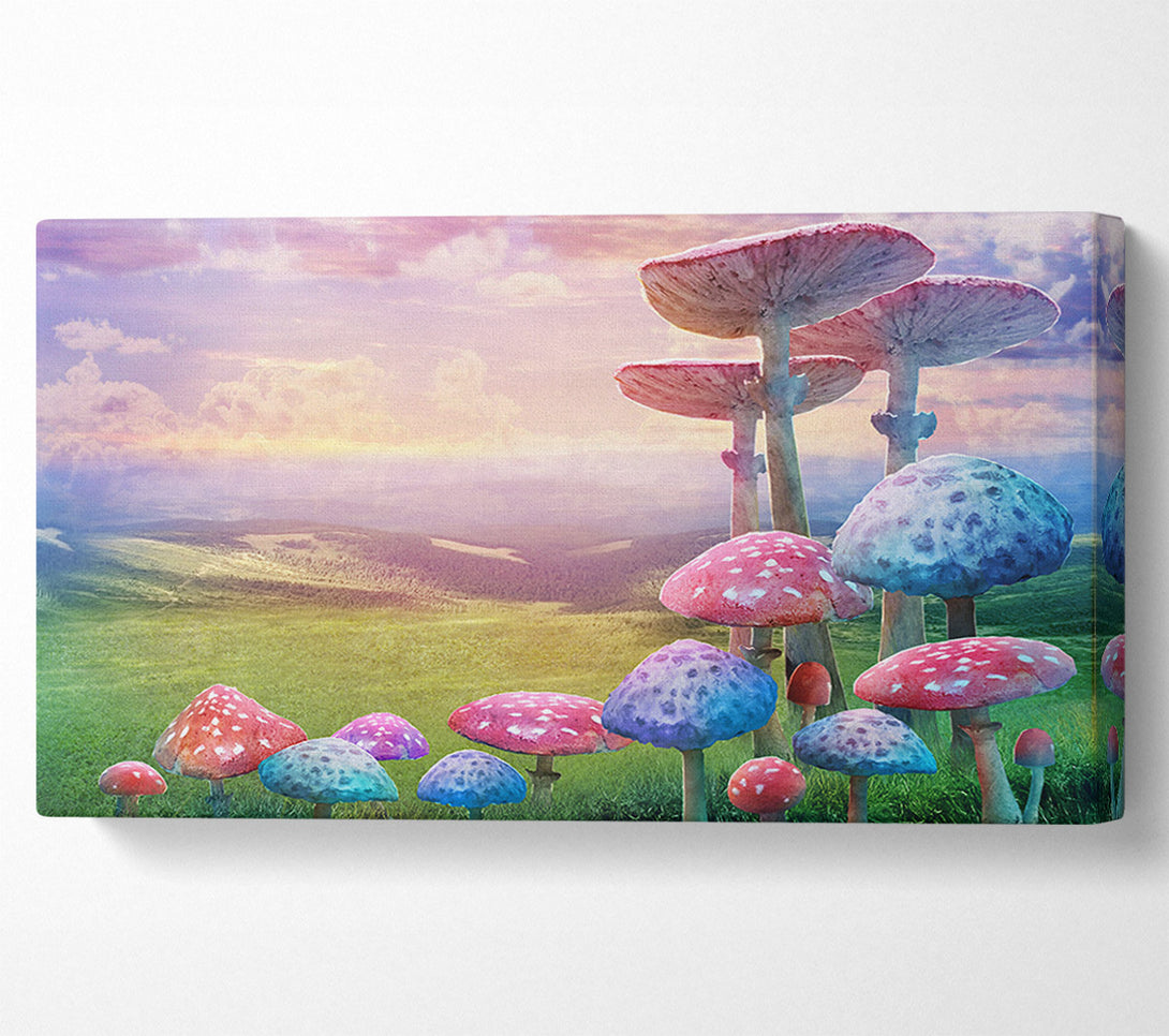  A Canvas Print of Tall Mushrooms In The Valley Canvas Print
