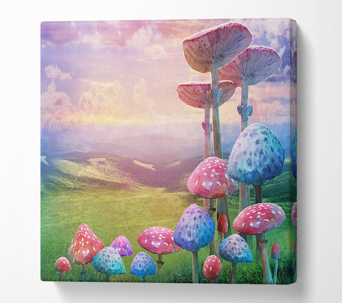  A Canvas Print of Tall Mushrooms In The Valley Canvas Print
