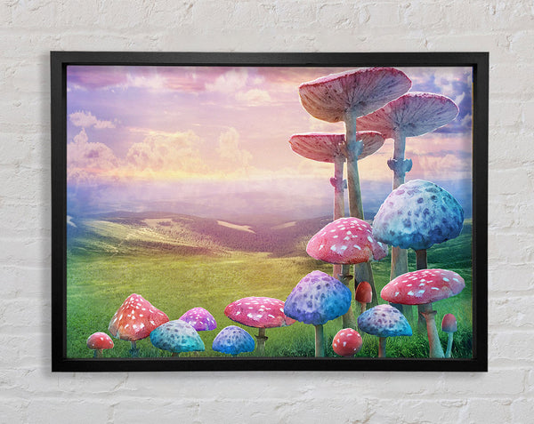 Tall Mushrooms In The Valley Framed Print