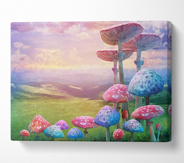  A Canvas Print of Tall Mushrooms In The Valley Canvas Print