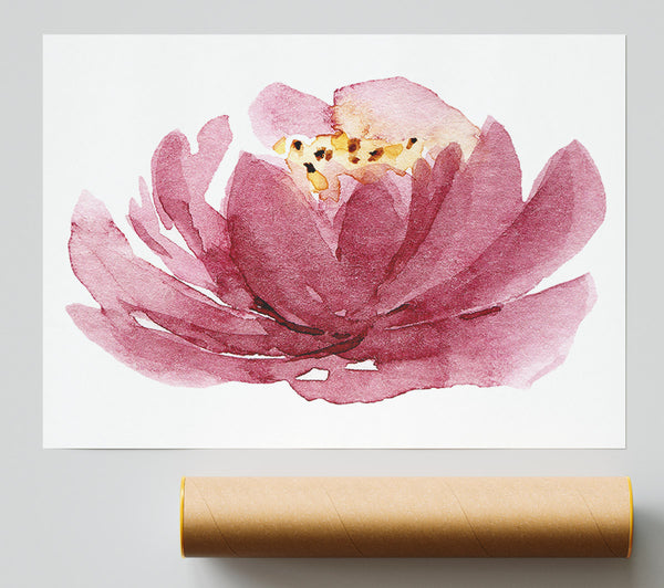 The Pink Flower Opening Giclee Print