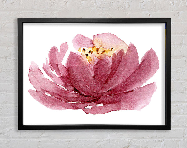 Die Eröffnung der rosa Blume