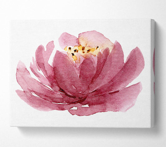 The Pink Flower Opening Canvas Wall Art