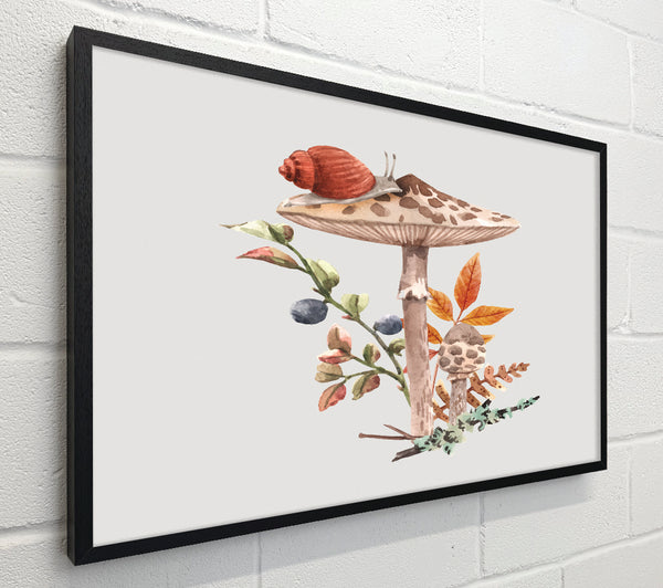 The Lone Toadstool