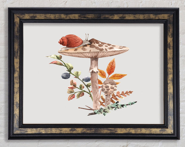 The Lone Toadstool Framed Print