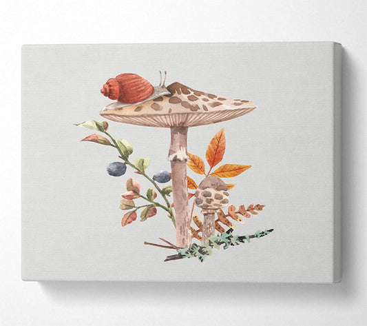 The Lone Toadstool Canvas Wall Art
