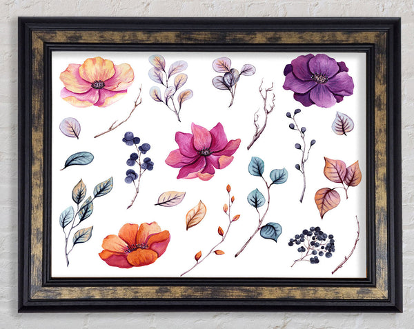 Selection Of Lovely Flowers Framed Print