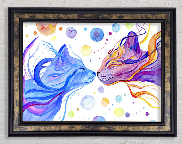 The Cat Universe