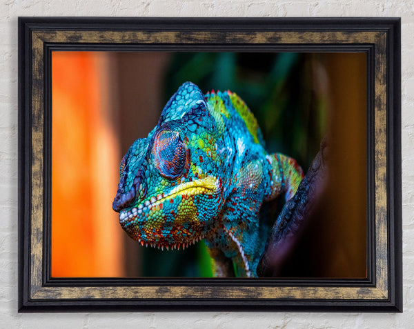 Chameleon Up Close Framed Print