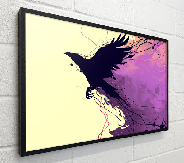 Blackbird Breaking The Boundries