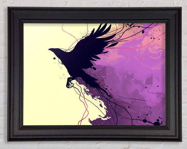 Blackbird Breaking The Boundries Framed Print