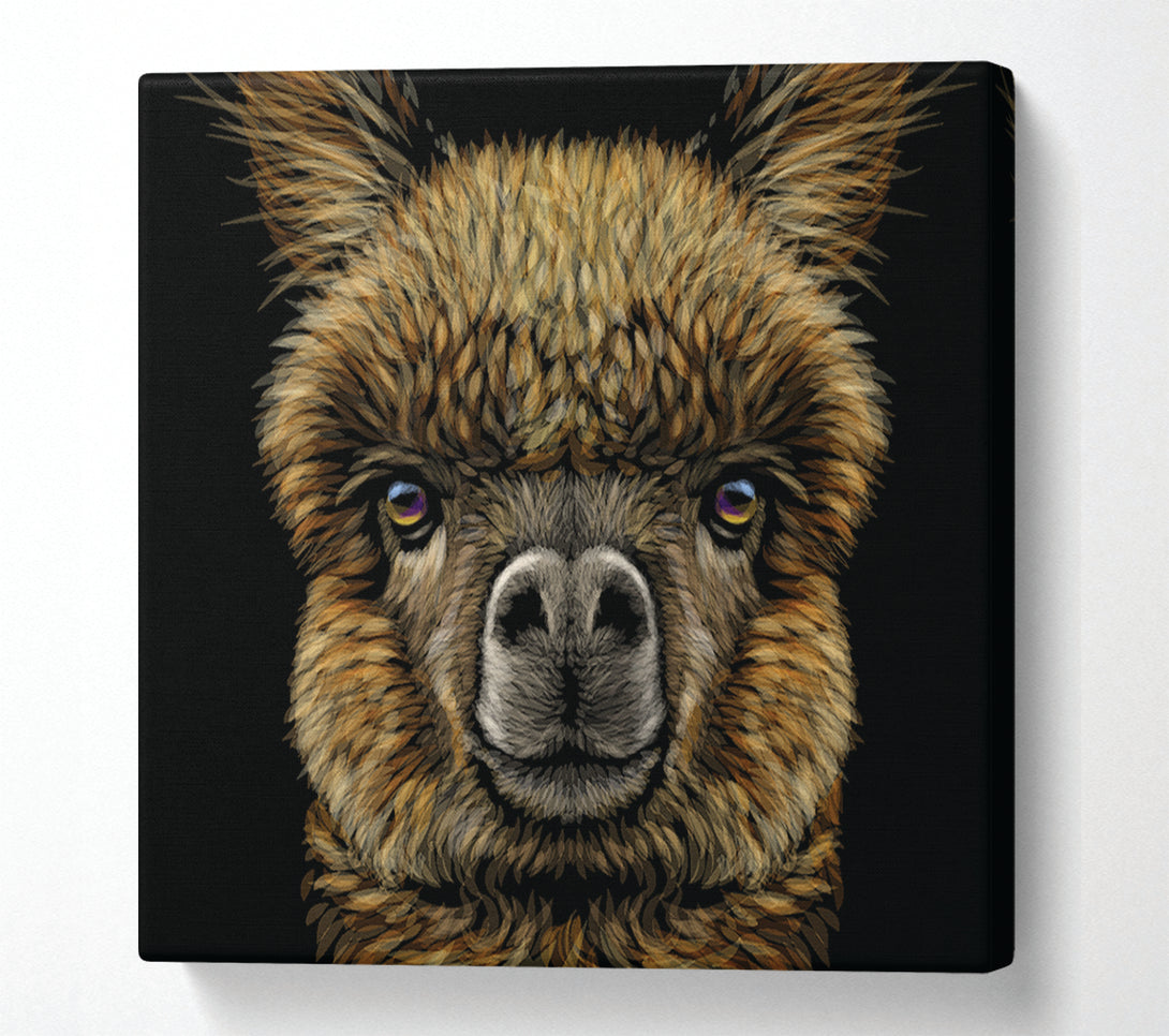  A Canvas Print of Alpaca Up Close Canvas Art