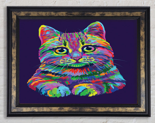 The Vivid Cat
