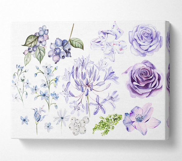 The Lilac Flower Collection