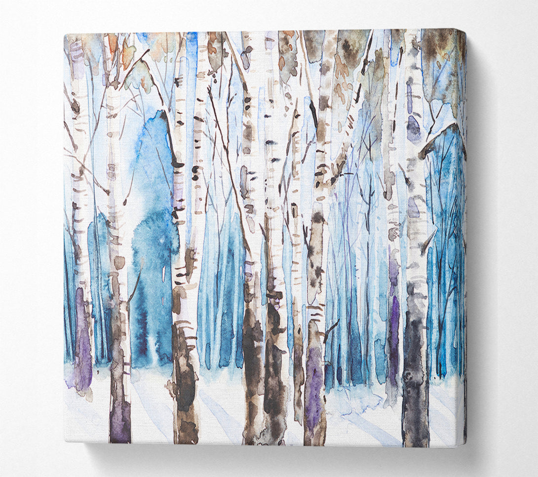  A Canvas Print of The Beautiful Birch Trees In The Snow Canvas Print