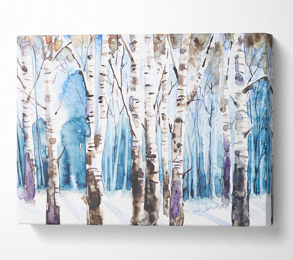 The Beautiful Birch Trees In The Snow